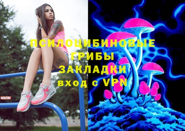 спиды Алексеевка