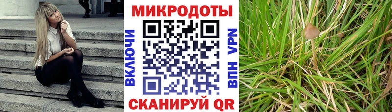 Псилоцибиновые грибы Psilocybine cubensis сколько стоит Черепаново