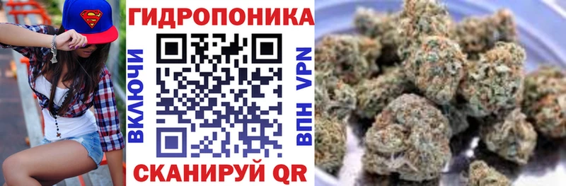 ОМГ ОМГ рабочий сайт  цена наркотик  Черепаново  Шишки марихуана SATIVA & INDICA 